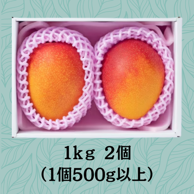販売終了】 台湾直送 愛文マンゴー1kg（送料込み）｜台湾からの贈り物